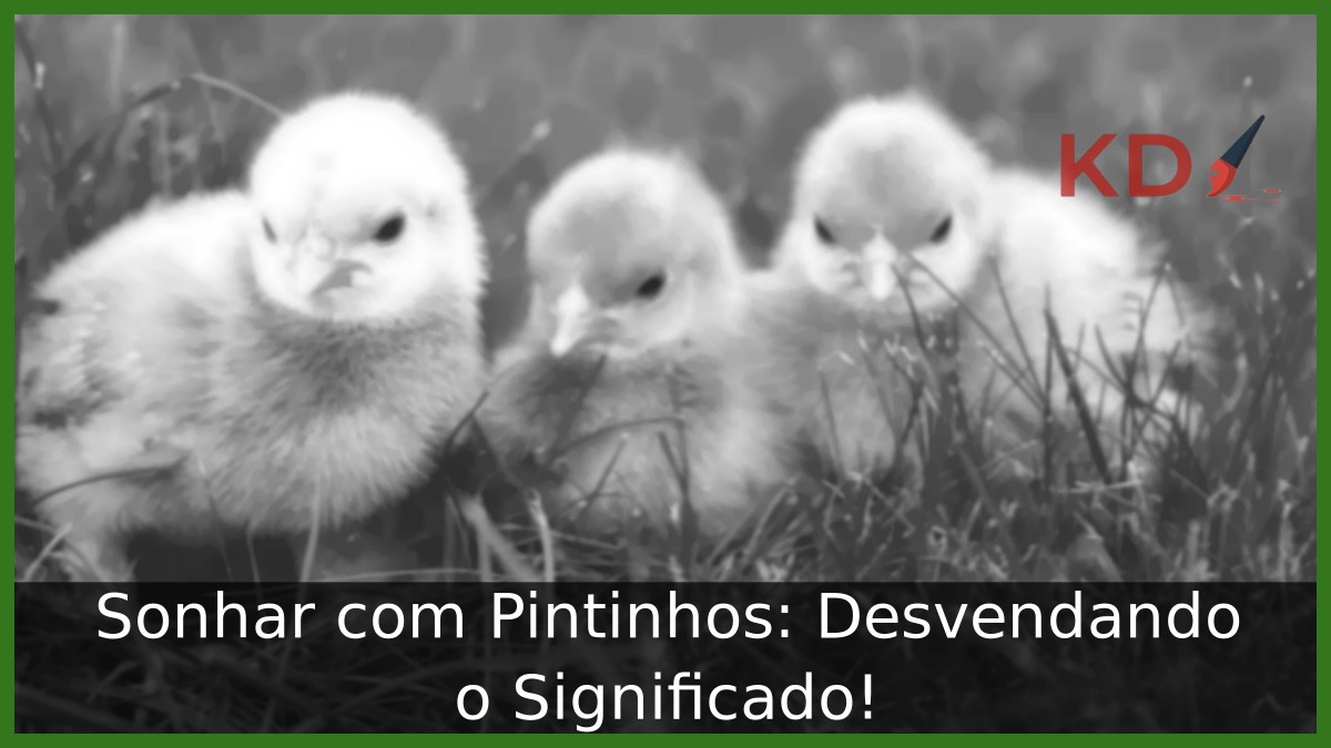 Sonhar com Pintinhos: Desvendando o Significado!