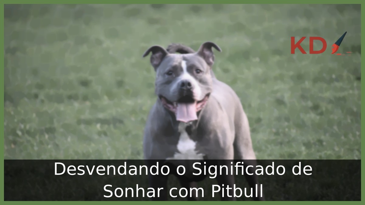 Sonhar com Pitbull