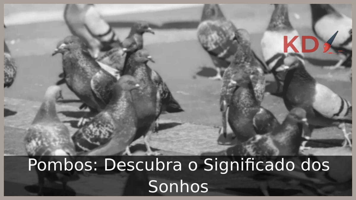 Sonhar com pombo