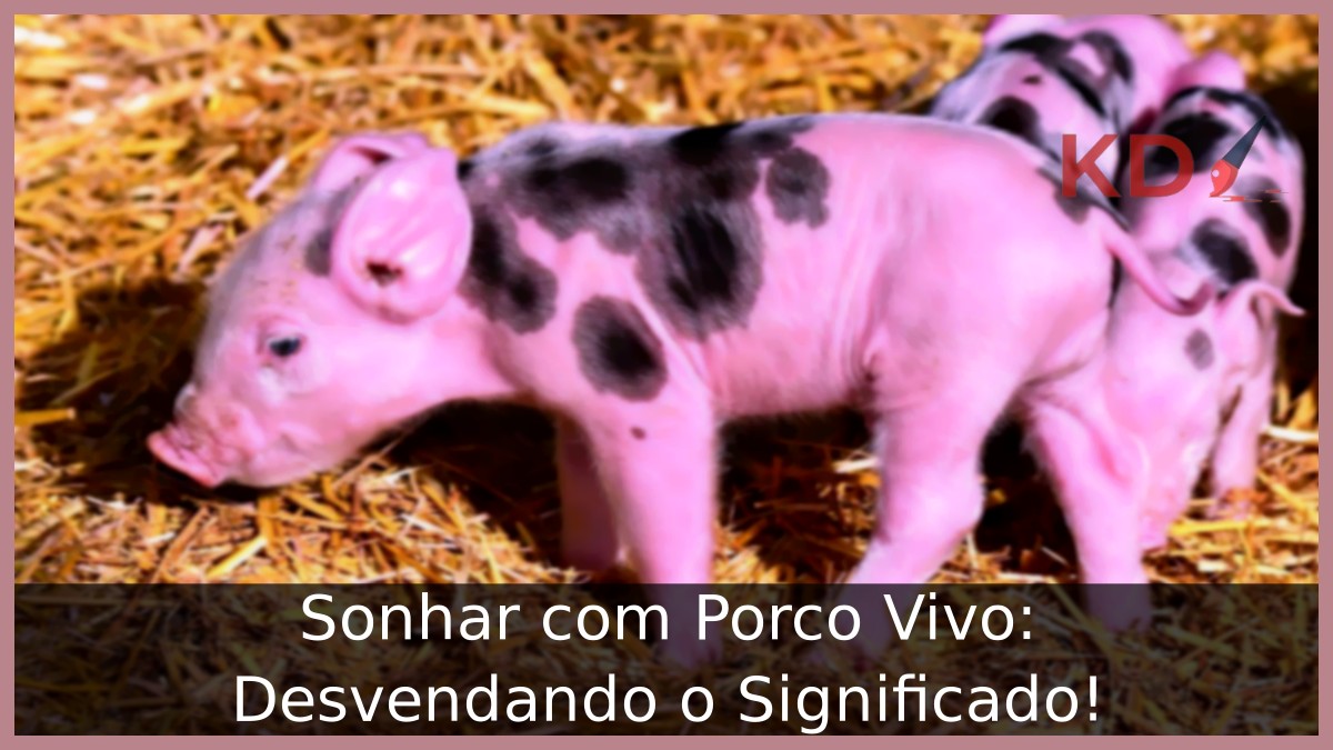 Sonhar com Porco Vivo: Desvendando o Significado!