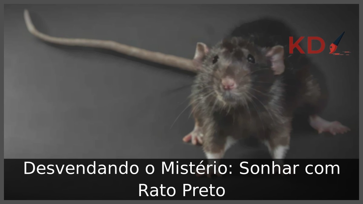 Sonhar com Rato Preto