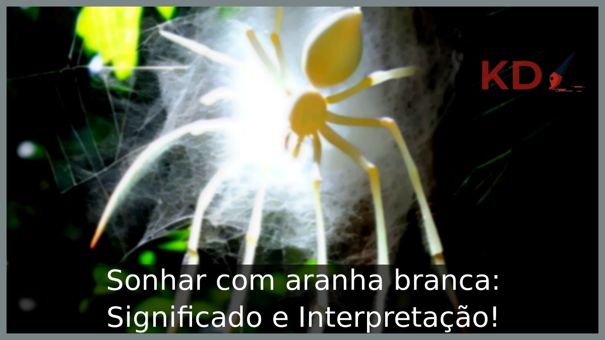 Sonhar com aranha branca: Significado e Interpretação!