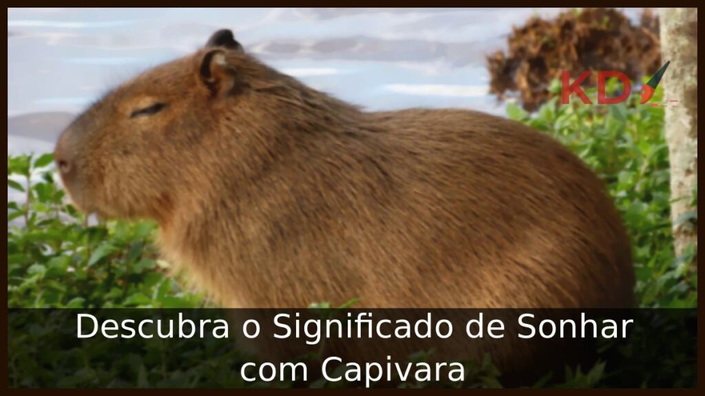 Significado de sonhar com capivara