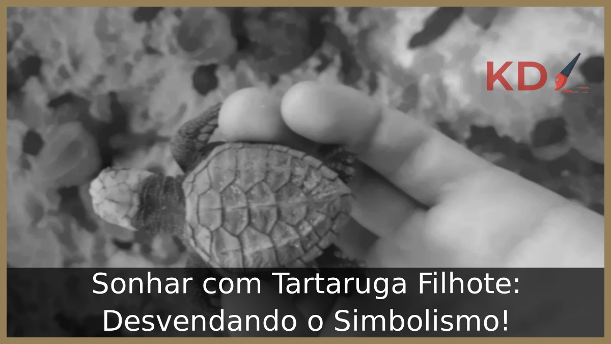 Sonhar com Tartaruga Filhote: Desvendando o Simbolismo! 3 Sonhar com Tartaruga Filhote: Desvendando o Simbolismo! - tartaruga filhote