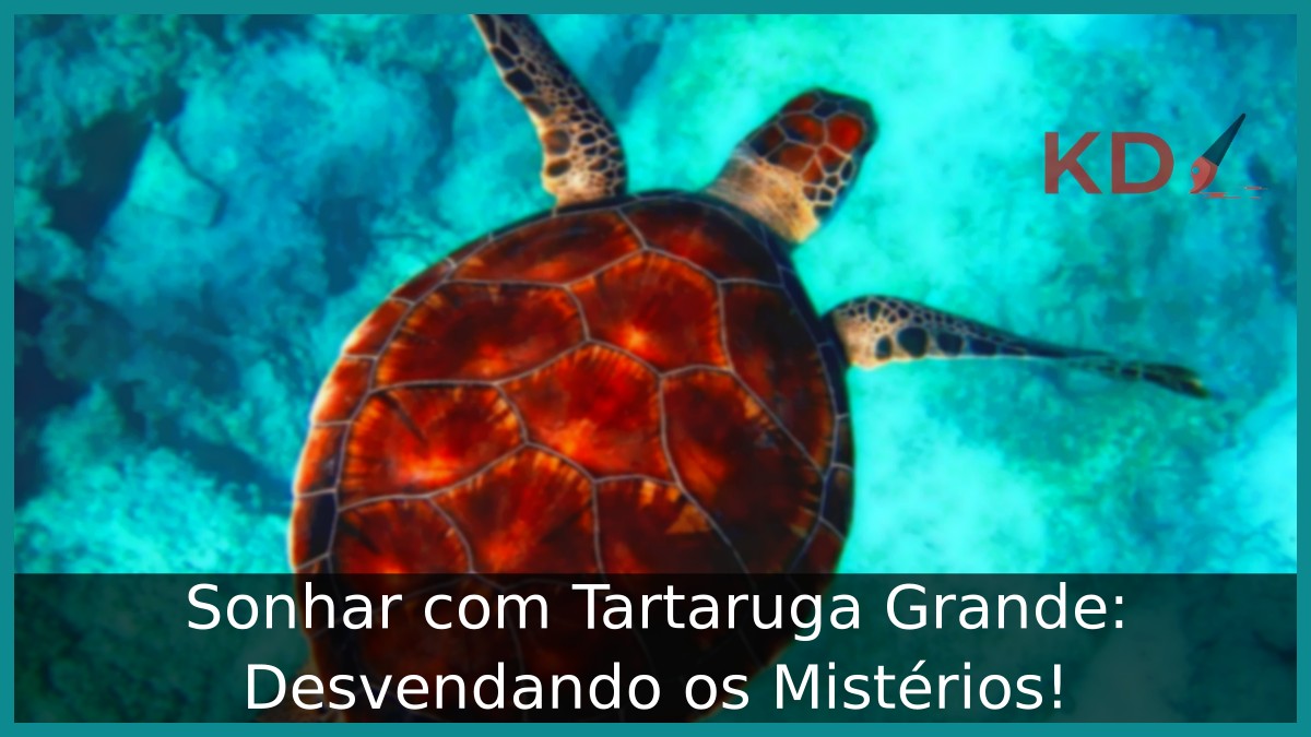 Sonhar com Tartaruga Grande: Desvendando os Mistérios!