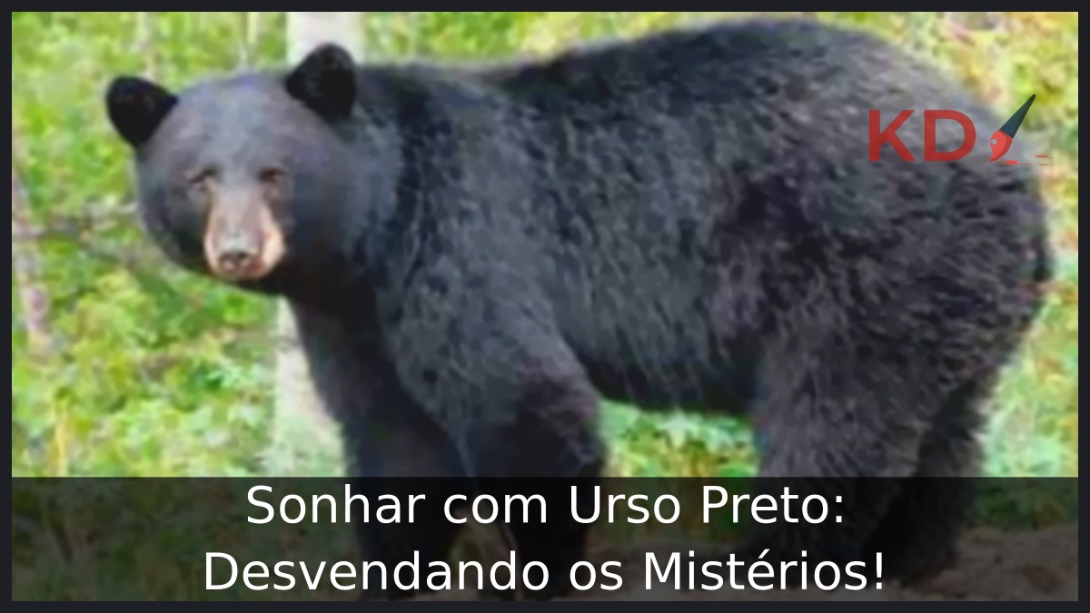 Sonhar com Urso Preto: Desvendando os Mistérios!
