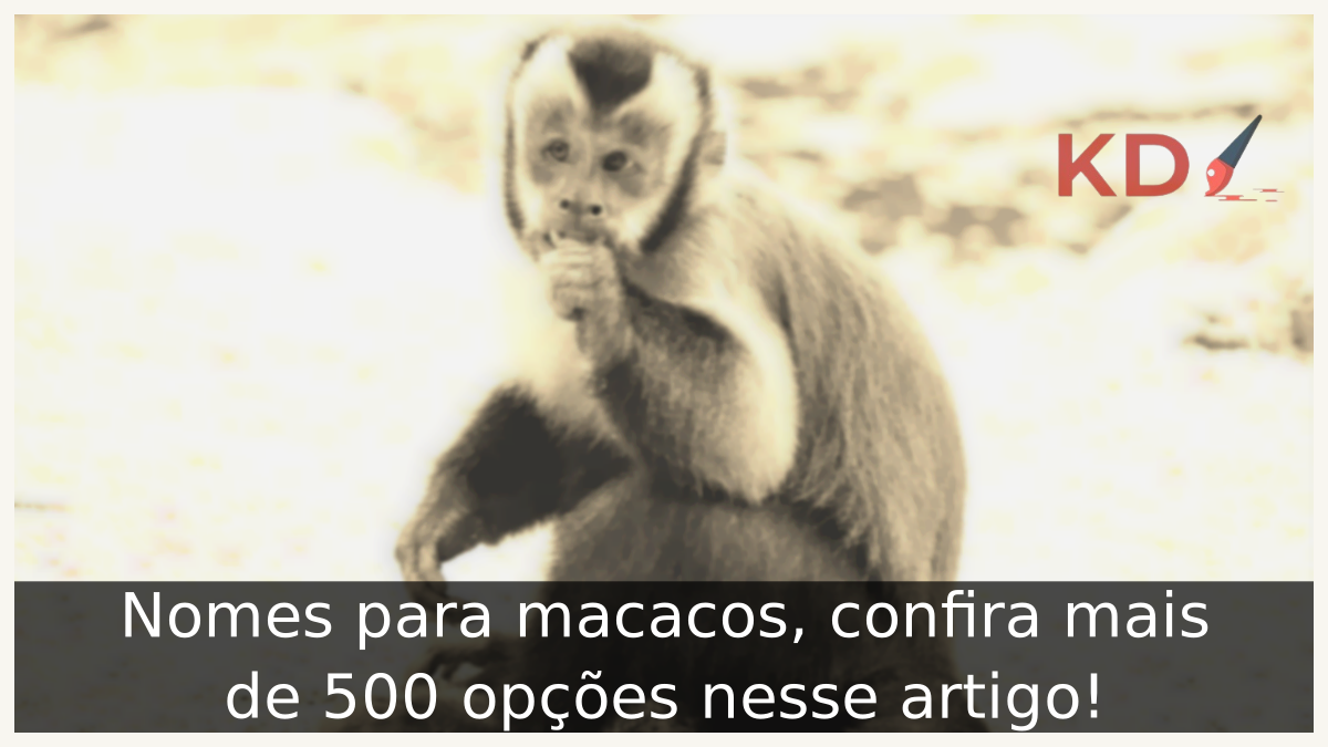 Nomes para macacos