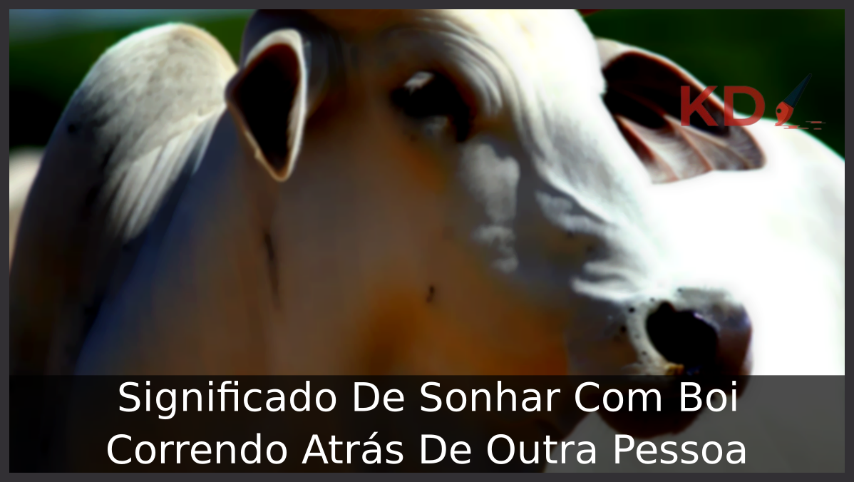 Sonhar Com Boi Correndo Atrás De Outra Pessoa