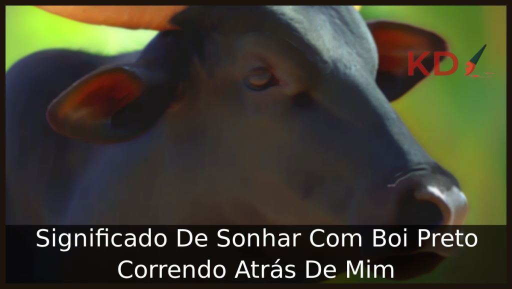 Sonhar Com Boi Preto Correndo Atrás De Mim
