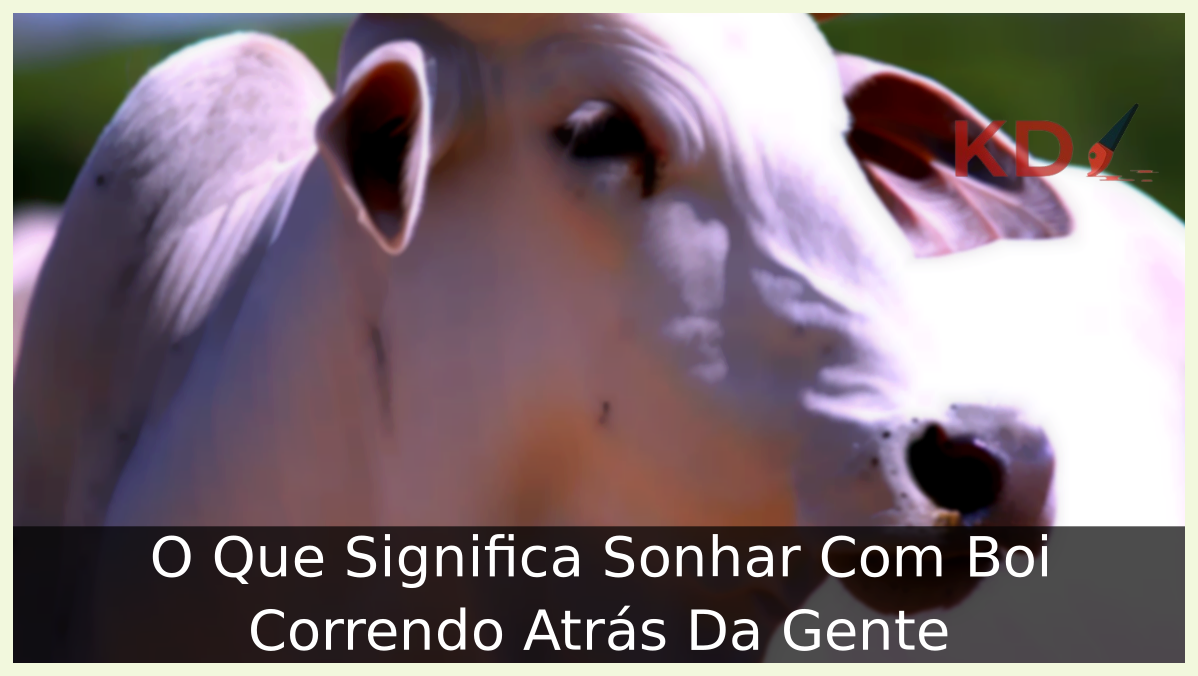 Sonhar Com Boi Correndo Atrás Da Gente