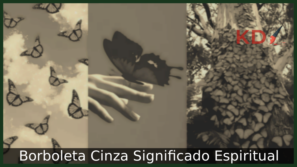 Borboleta Cinza