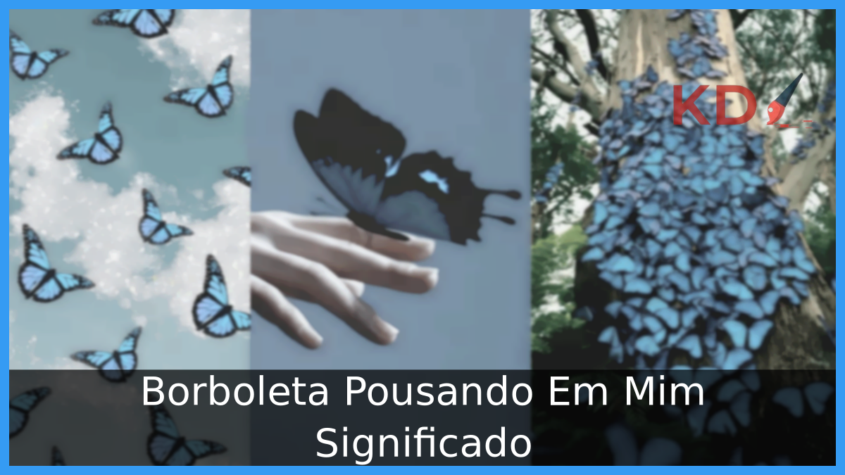 Borboleta Pousando Em Mim Significado 15 Borboleta Pousando Em Mim Significado