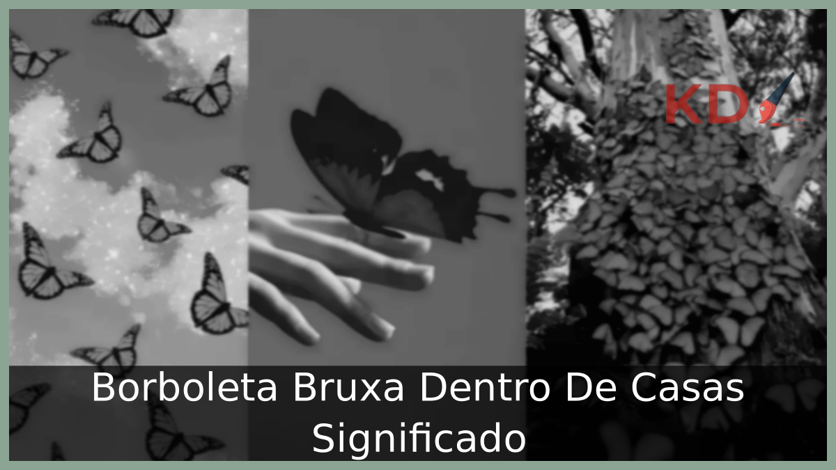 Borboleta Bruxa Dentro De Casas: Descubra o Verdadeiro Significado 17 Borboleta Bruxa Dentro De Casas