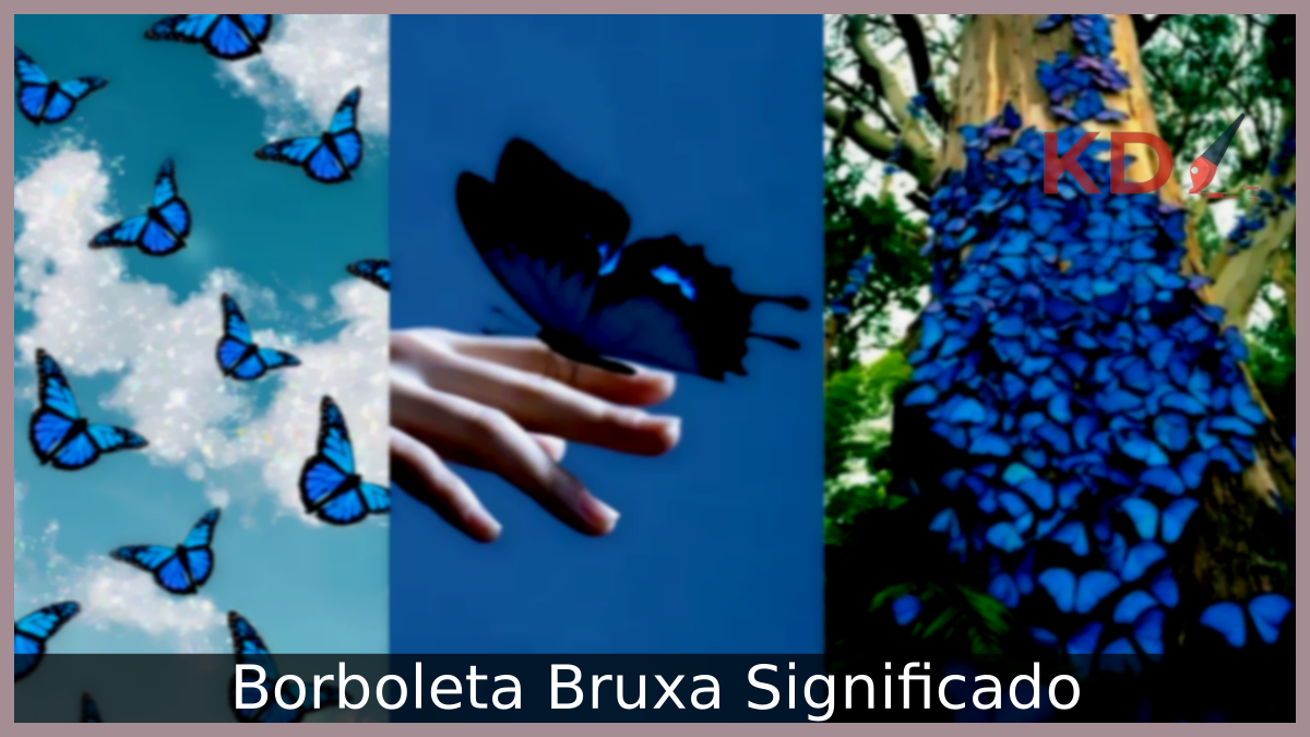 Borboleta Bruxa Significado: Conheça tudo o que precisa saber! 17 Borboleta Bruxa
