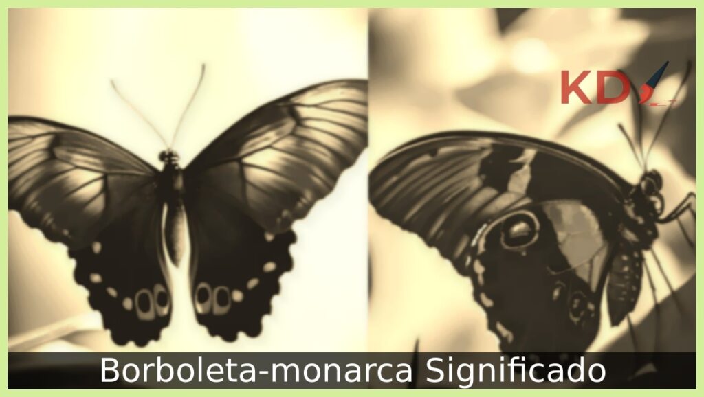 Borboleta-monarca Significado: Veja tudo sobre 1 Borboleta-monarca