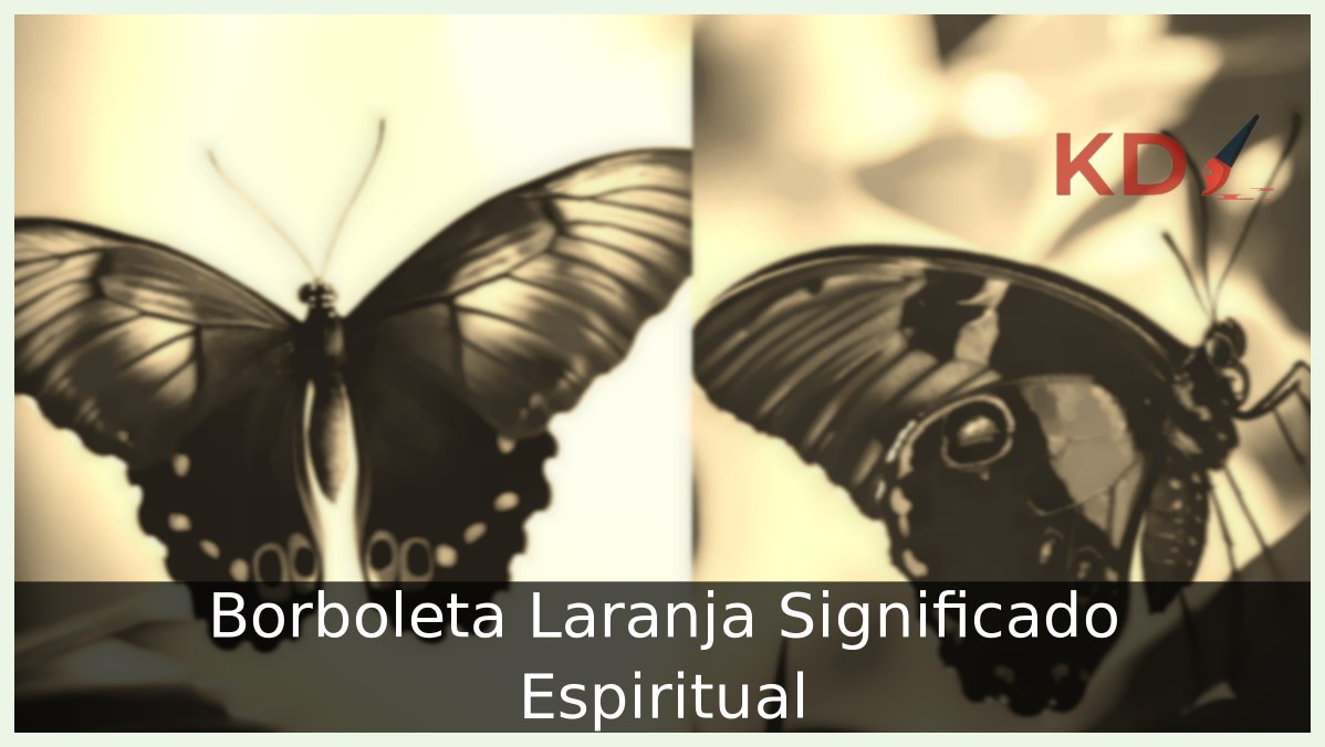 Borboleta Laranja Significado Espiritual 1 Borboleta Laranja