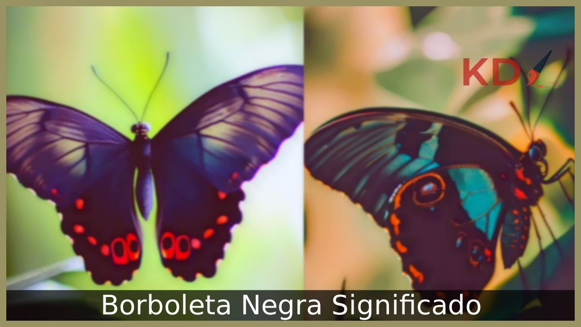 Borboleta Negra Significado: Veja tudo que você precisa saber 19 Borboleta Negra Significado