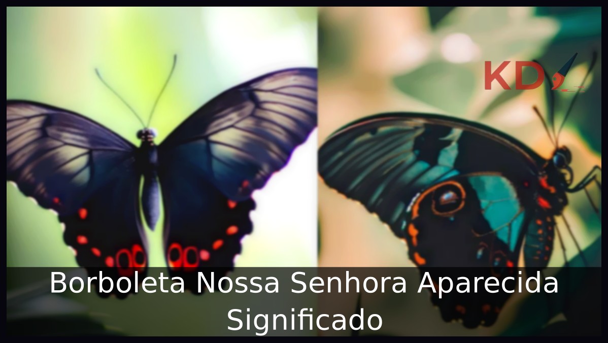 Borboleta Nossa Senhora Aparecida Significado 3 Borboleta Nossa Senhora Aparecida