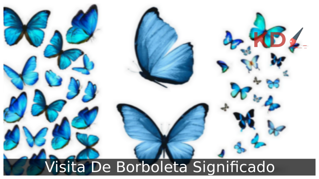 Descubra o que é Visita De Borboleta Significado 1 Visita De Borboleta