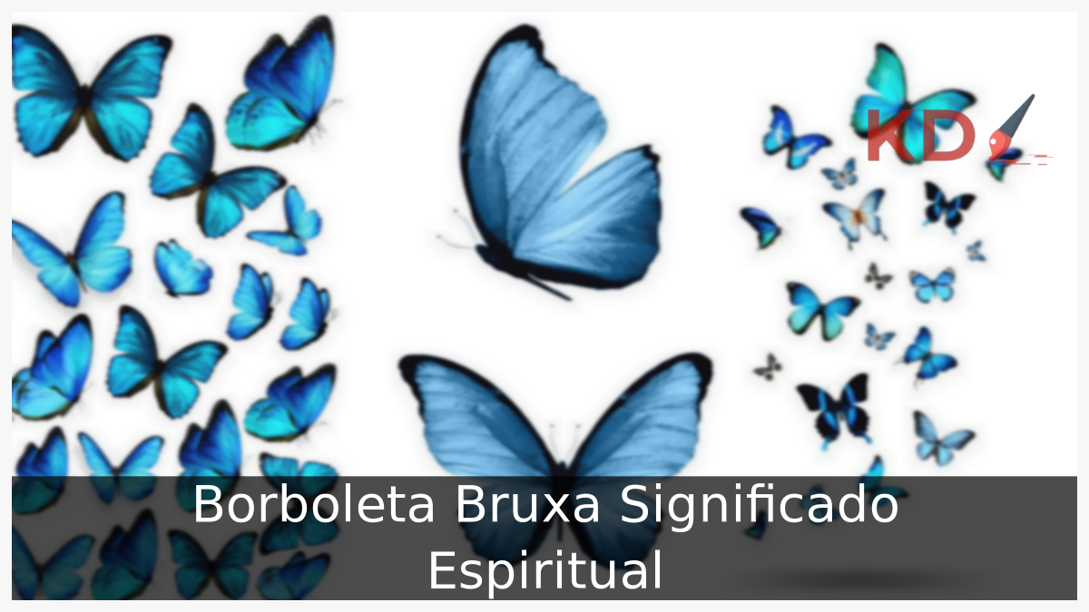 Borboleta Bruxa Significado Espiritual: Conheça o que você precisa saber! 19 Borboleta Bruxa