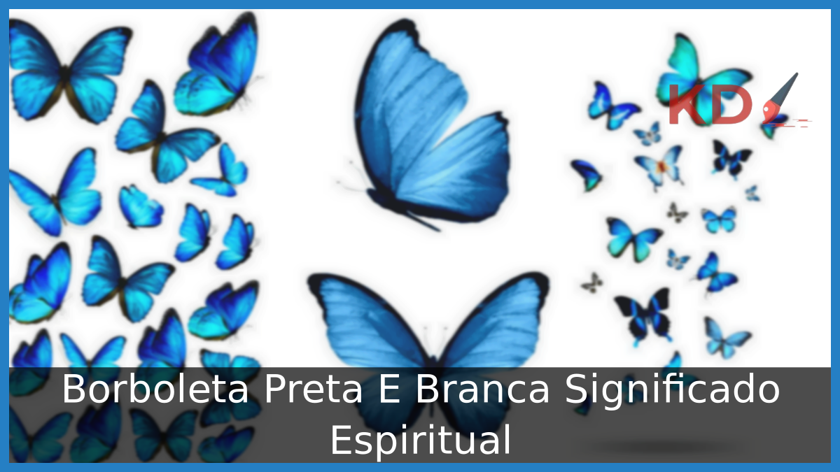 Borboleta Preta E Branca Significado Espiritual