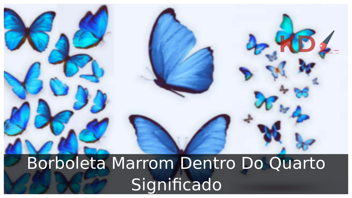 Borboleta Marrom Dentro Do Quarto