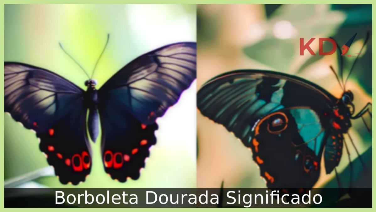 Borboleta Dourada Significado: Veja tudo sobre! 3 Borboleta Dourada