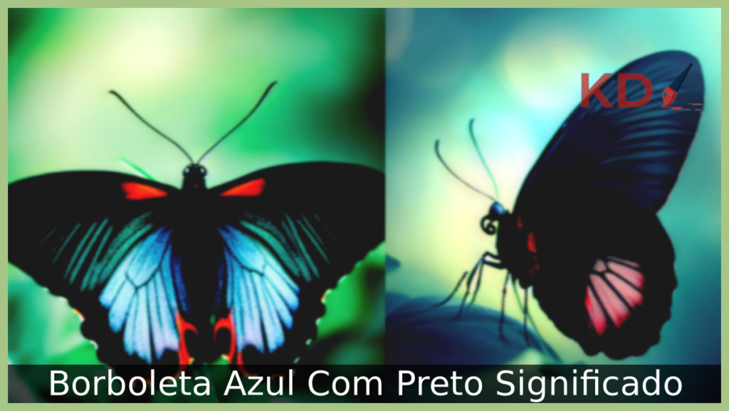 Borboleta Azul Com Preto Significado: Descubra tudo sobre! 1 Borboleta Azul Com Preto
