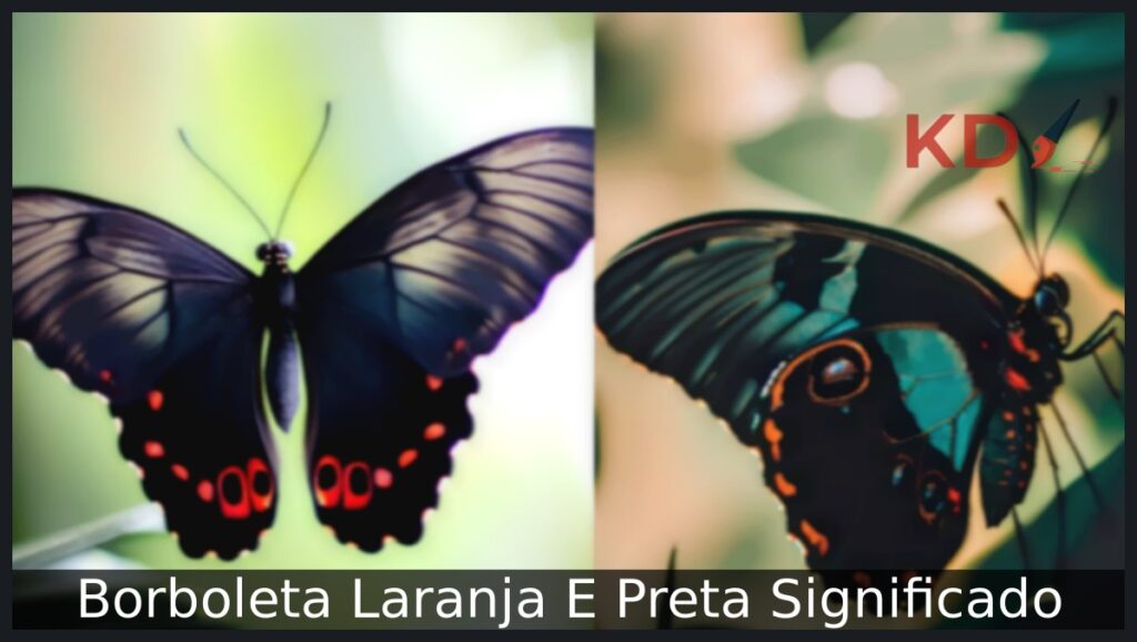 Borboleta Laranja E Preta