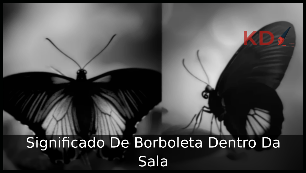 Significado De Borboleta Dentro Da Sala