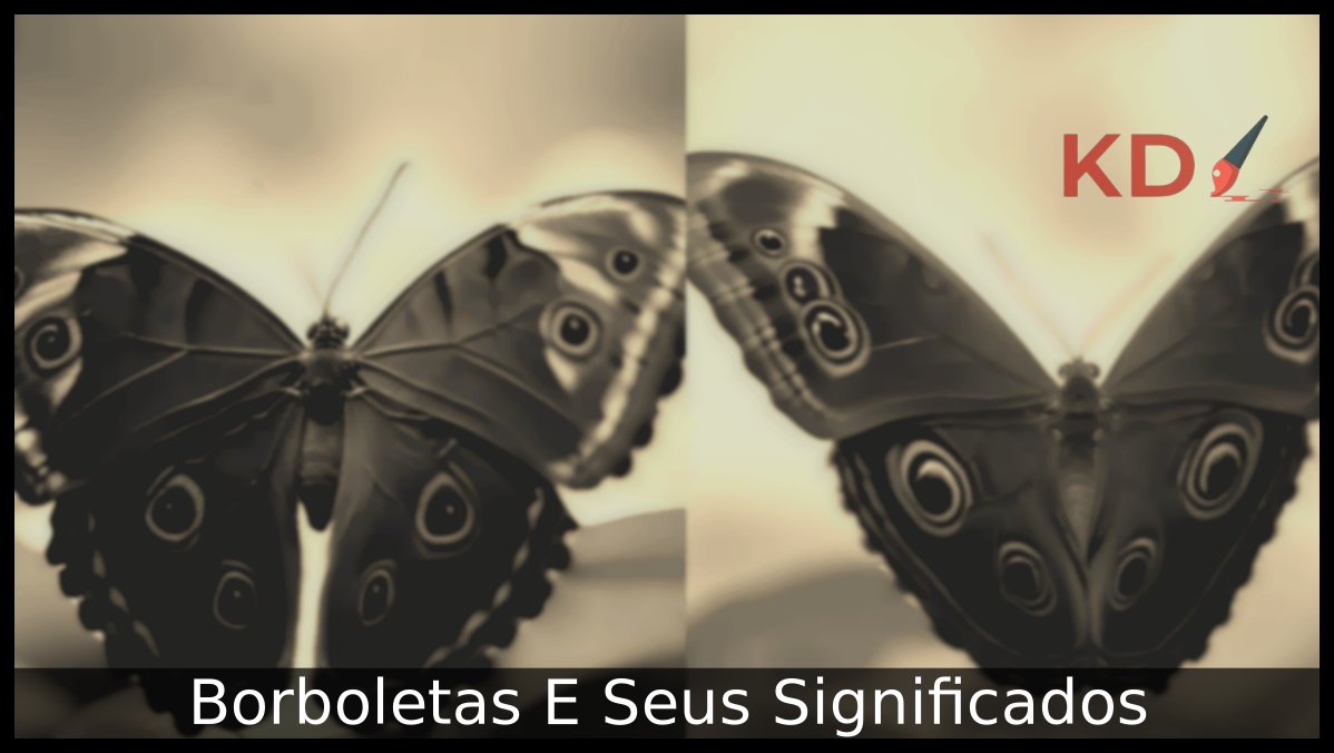 Borboletas