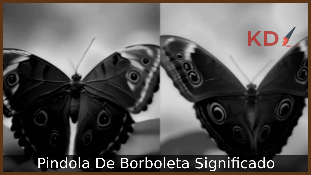 Pindola De Borboleta Significado: Conheça o que você precisa saber! 7 Pindola De Borboleta