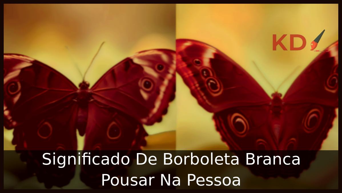 Borboleta Branca Pousar Na Pessoa