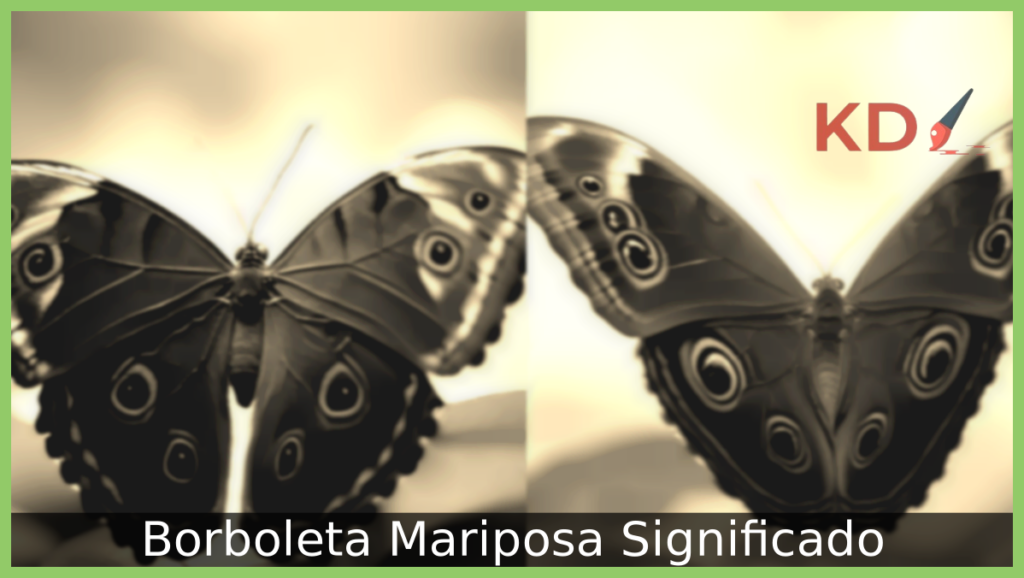 Borboleta Mariposa Significado: Veja tudo que você precisa saber! 1 Borboleta Mariposa Significado