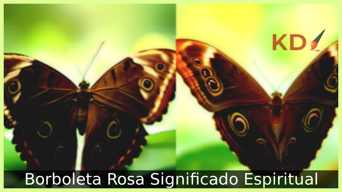 Borboleta Rosa Significado Espiritual: Veja o que você precisa saber 8 Borboleta Rosa Significado Espiritual