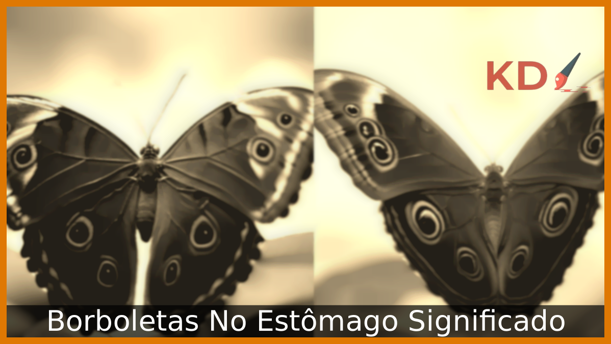 Borboletas No Estômago