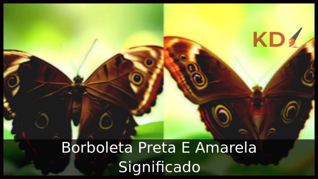 Borboleta Preta E Amarela