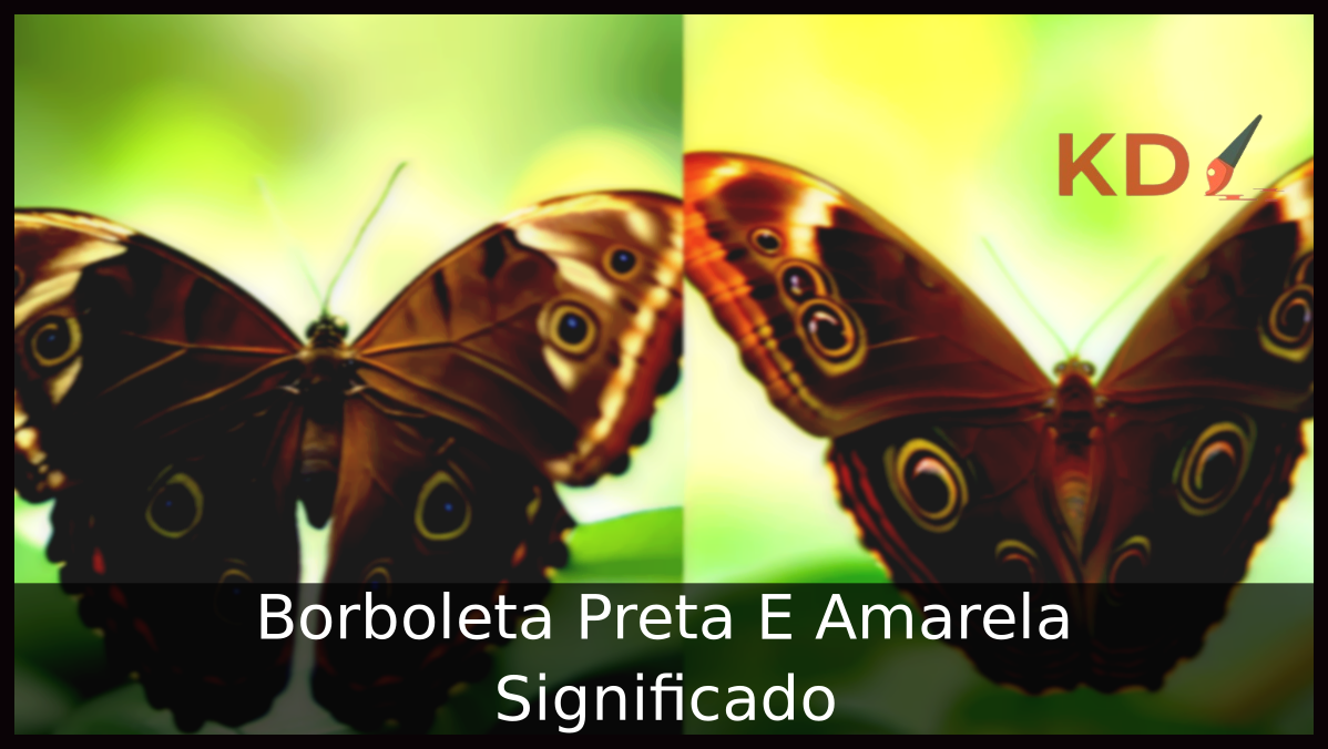 Borboleta Preta E Amarela Significado 23 Borboleta Preta E Amarela