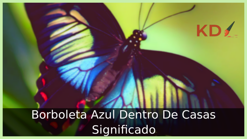 Borboleta Azul Dentro De Casas