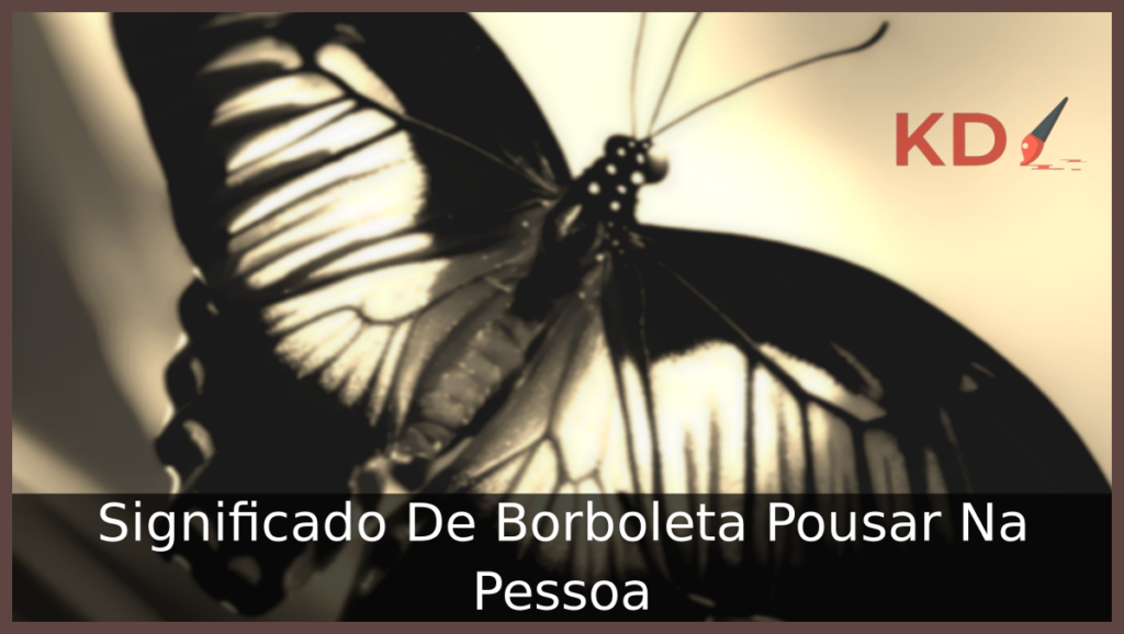 Significado De Borboleta Pousar Na Pessoa