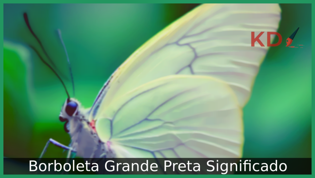 Borboleta Grande Preta