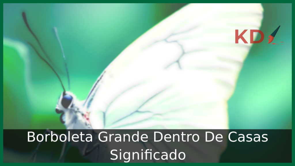 Borboleta Grande Dentro De Casas Significado 1 Borboleta Grande Dentro De Casas