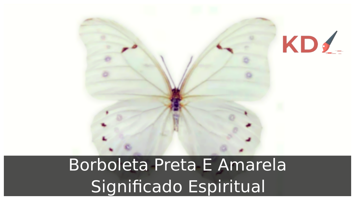 Borboleta Preta E Amarela Significado Espiritual 13 Borboleta Preta E Amarela