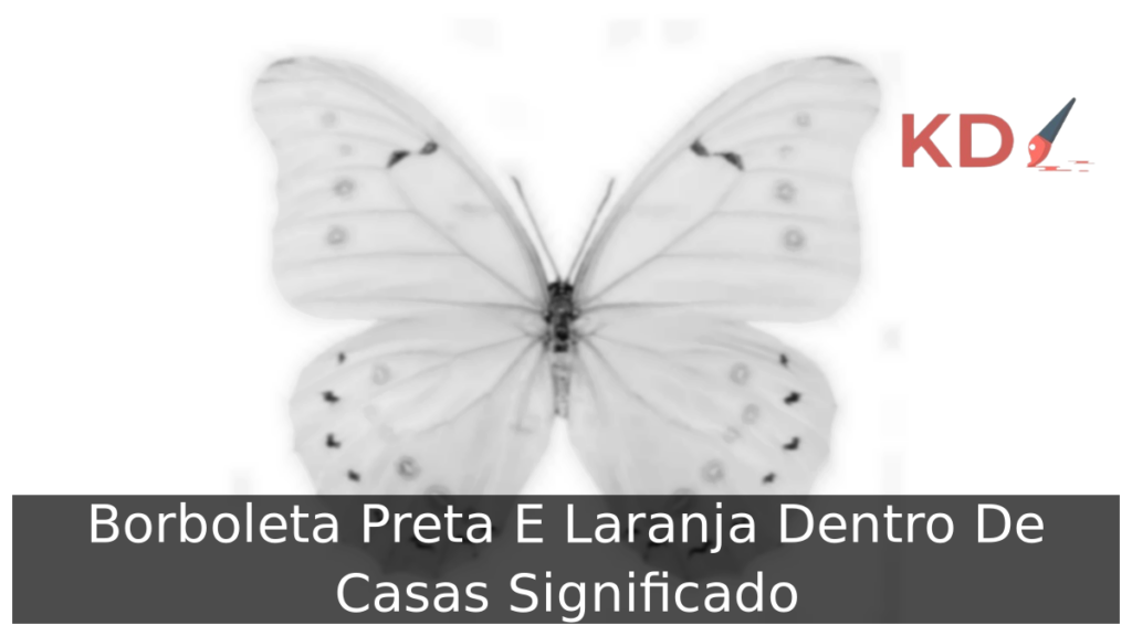 Borboleta Preta E Laranja Dentro De Casas Significado 1 Borboleta Preta E Laranja