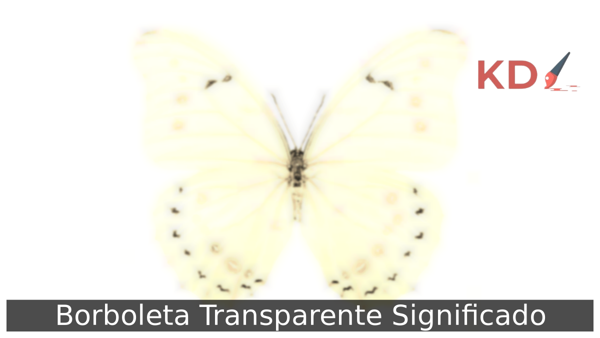 Borboleta Transparente Significado: Descubra tudo sobre! 2 Borboleta Transparente