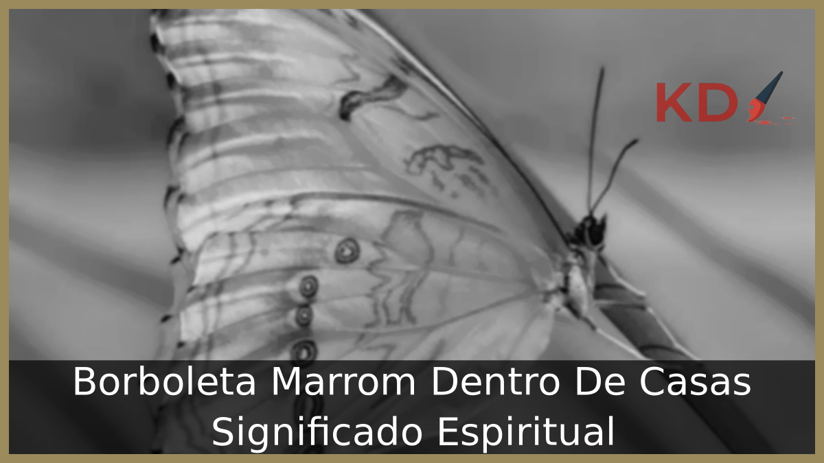 Borboleta Marrom Dentro De Casas Significado Espiritual 11 Borboleta Marrom Dentro De Casas