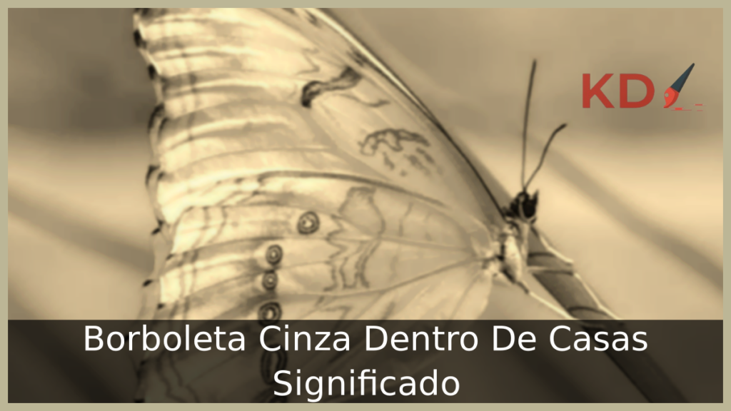 Borboleta Cinza Dentro De Casas Significado 1 Borboleta Cinza Dentro De Casas