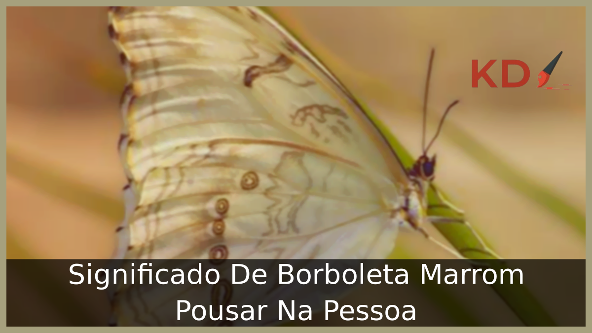 Significado De Borboleta Marrom Pousar Na Pessoa 23 Borboleta Marrom Pousar Na Pessoa