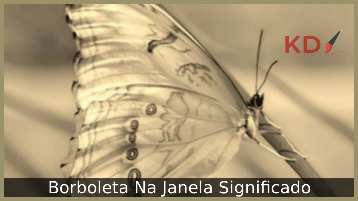 Borboleta Na Janela Significado