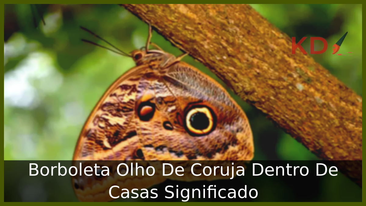 Borboleta Olho De Coruja Dentro De Casa Significado